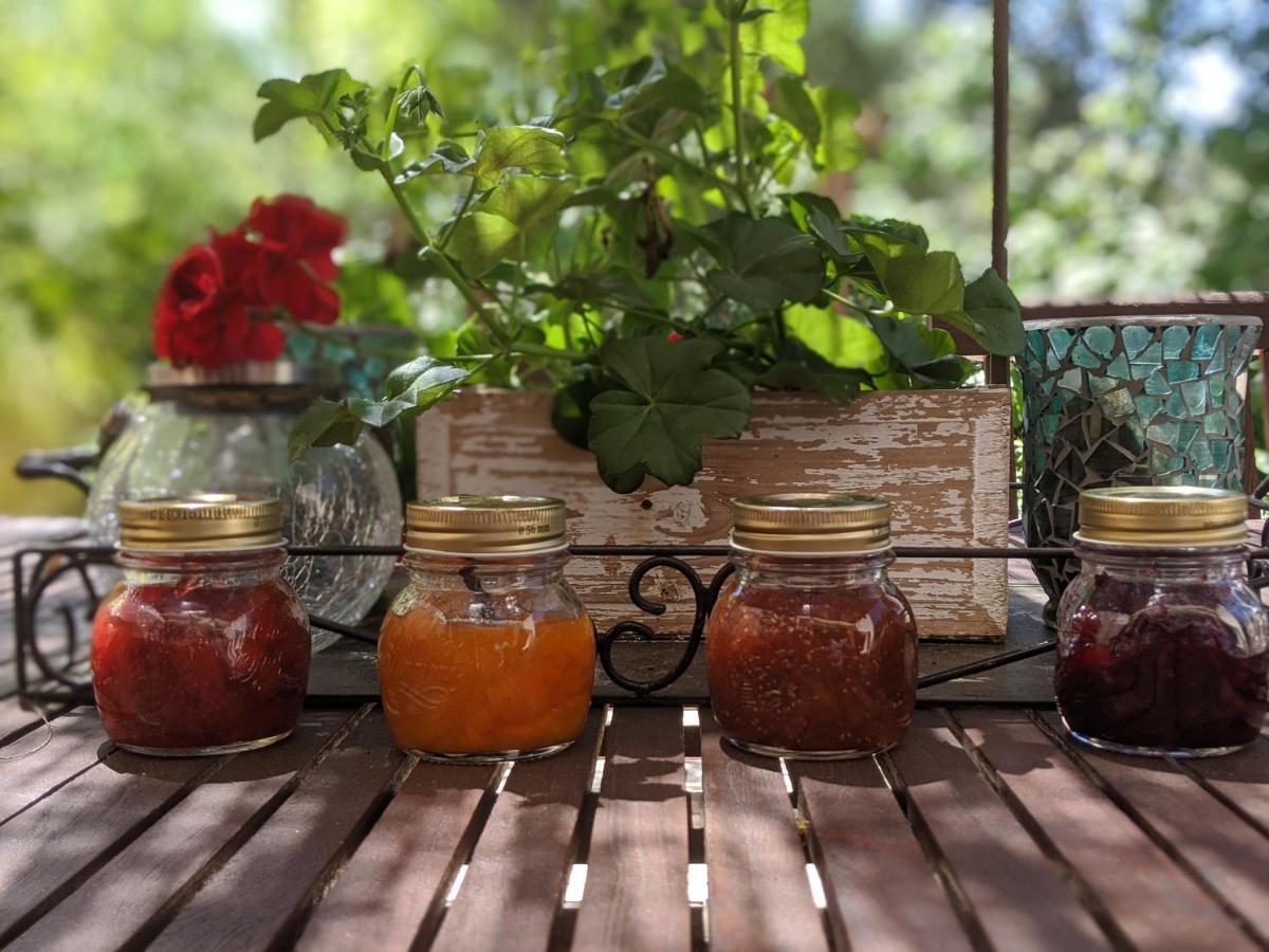 Garrigues-et-Sainte-Eulalie Les Jardins D'Holi Proche Uzes B&B 외부 사진