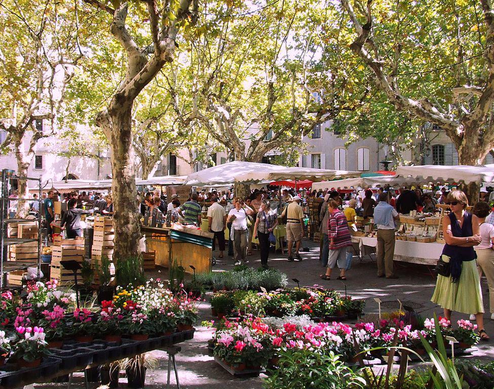 Garrigues-et-Sainte-Eulalie Les Jardins D'Holi Proche Uzes B&B 외부 사진