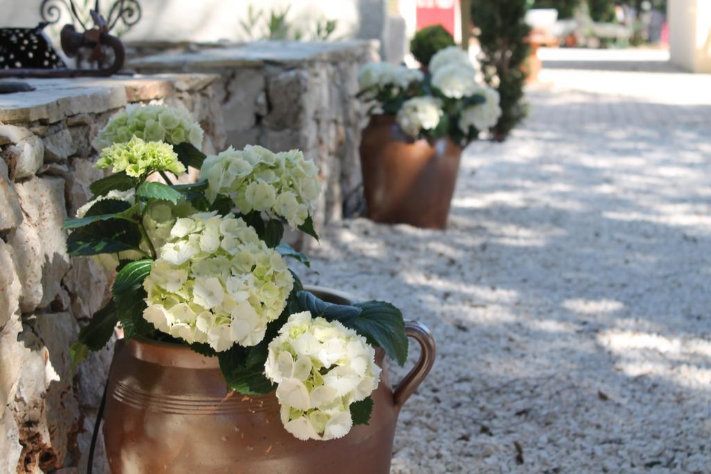 Garrigues-et-Sainte-Eulalie Les Jardins D'Holi Proche Uzes B&B 외부 사진